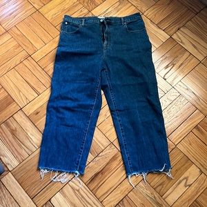 Everlane Way High Cropped Jean